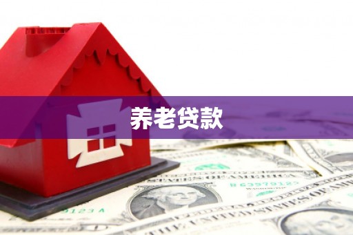 望城养老贷款
