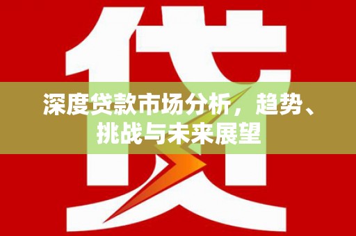 望城深度贷款市场分析，趋势、挑战与未来展望