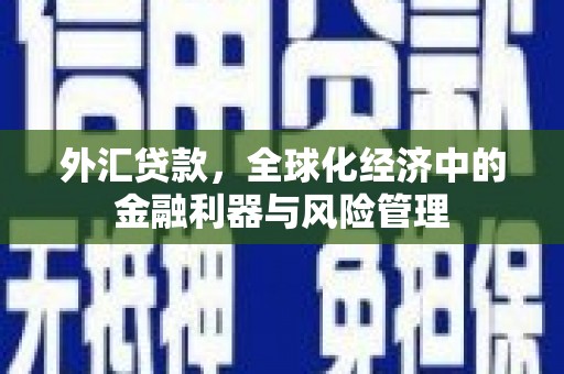 望城外汇贷款，全球化经济中的金融利器与风险管理
