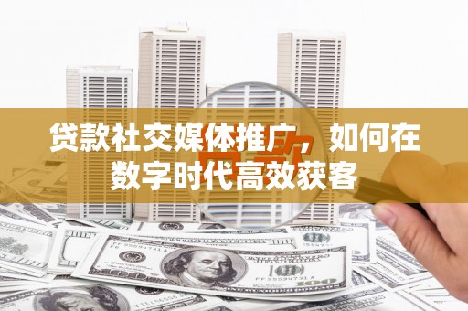 望城贷款社交媒体推广，如何在数字时代高效获客