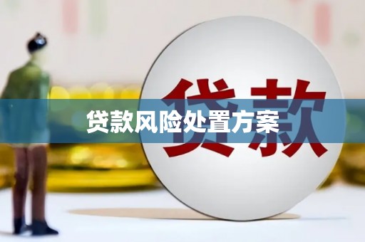 望城贷款风险处置方案