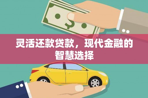 望城灵活还款贷款，现代金融的智慧选择