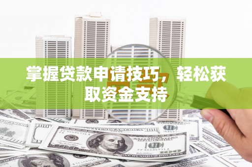 望城掌握贷款申请技巧，轻松获取资金支持