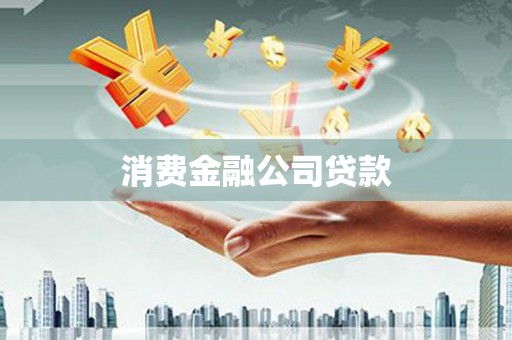 望城消费金融公司贷款