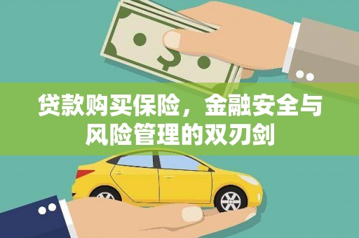 望城贷款购买保险，金融安全与风险管理的双刃剑