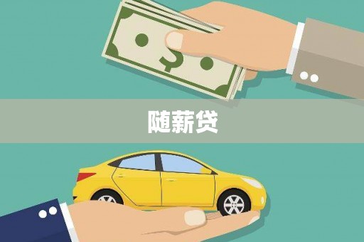 望城随薪贷
