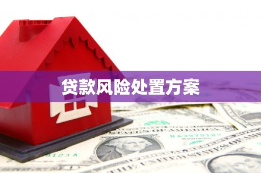 望城贷款风险处置方案