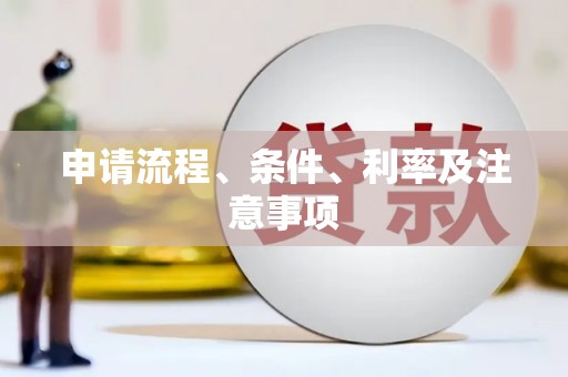 望城申请流程、条件、利率及注意事项