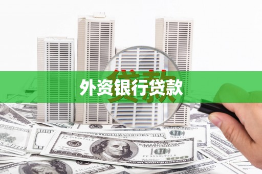 望城外资银行贷款