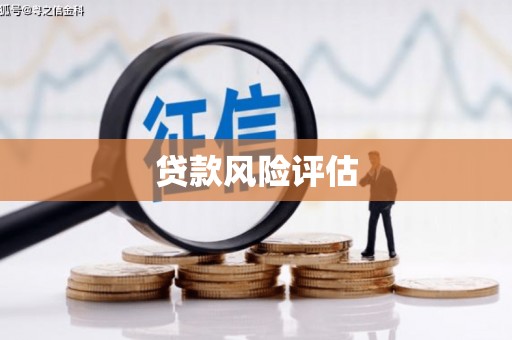 望城贷款风险评估