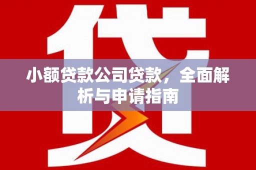 望城小额贷款公司贷款，全面解析与申请指南