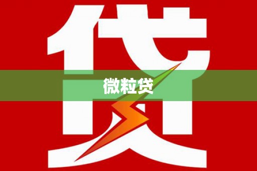 望城微粒贷