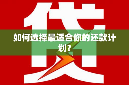 望城如何选择最适合你的还款计划？