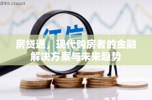 望城房贷通，现代购房者的金融解决方案与未来趋势
