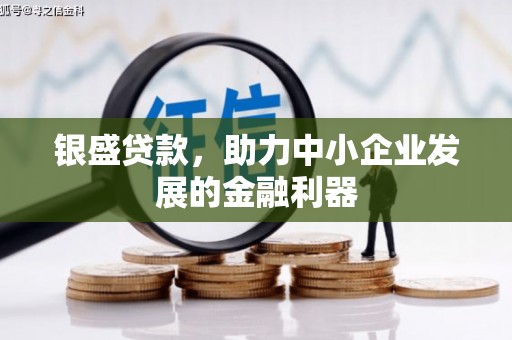 望城银盛贷款，助力中小企业发展的金融利器
