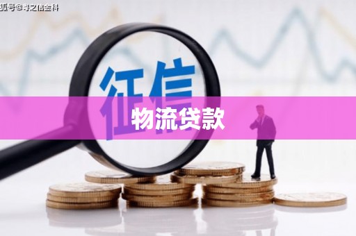 望城物流贷款