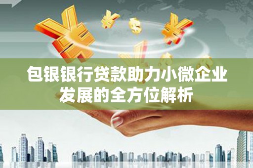 望城包银银行贷款助力小微企业发展的全方位解析