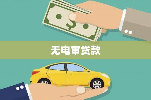 望城无电审贷款