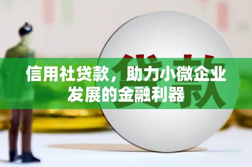 望城信用社贷款，助力小微企业发展的金融利器