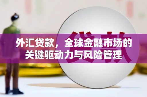 望城外汇贷款，全球金融市场的关键驱动力与风险管理