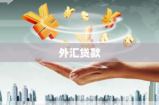 望城外汇贷款
