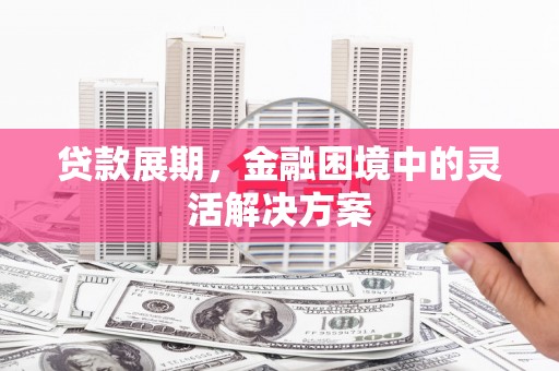 望城贷款展期，金融困境中的灵活解决方案