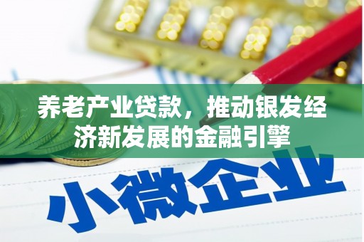 望城养老产业贷款，推动银发经济新发展的金融引擎