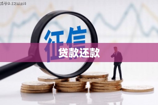 望城贷款还款