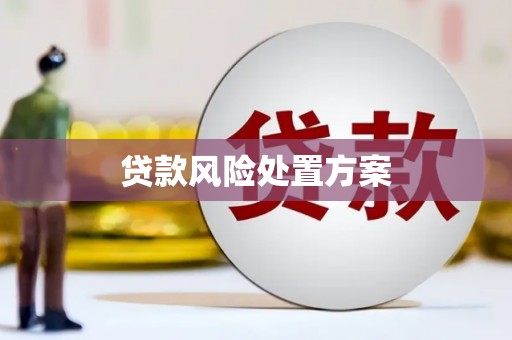 望城贷款风险处置方案
