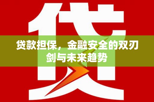 望城贷款担保，金融安全的双刃剑与未来趋势