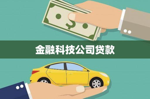 望城金融科技公司贷款
