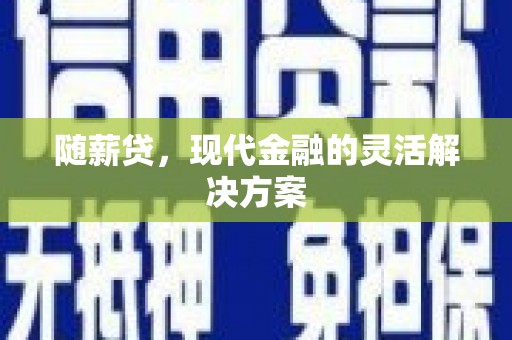 望城随薪贷，现代金融的灵活解决方案