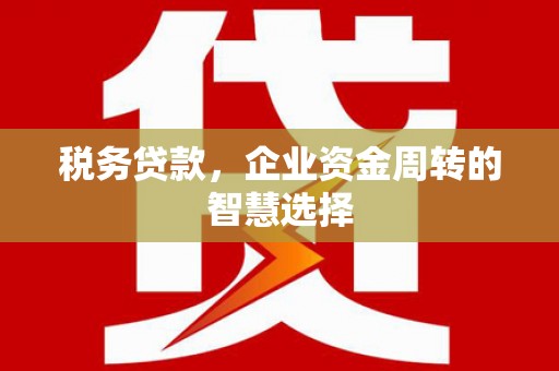望城税务贷款，企业资金周转的智慧选择