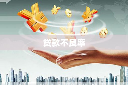 望城贷款不良率