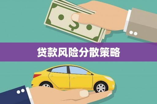 望城贷款风险分散策略