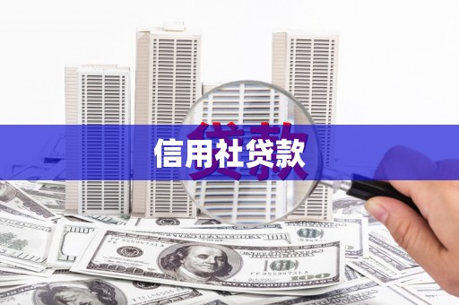 望城信用社贷款