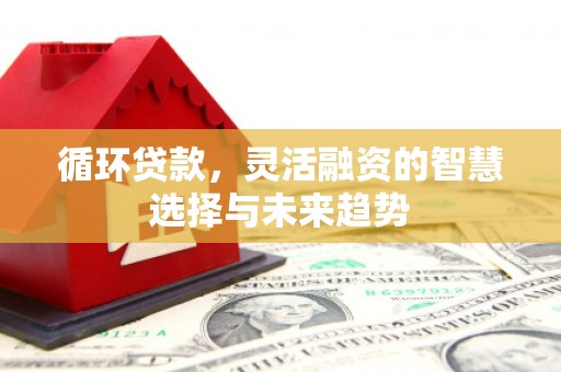 望城循环贷款，灵活融资的智慧选择与未来趋势