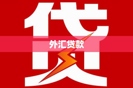 望城外汇贷款
