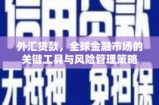望城外汇贷款，全球金融市场的关键工具与风险管理策略