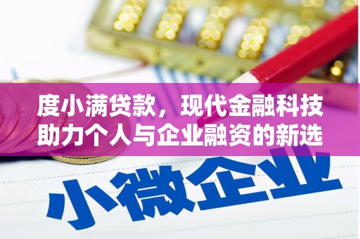 望城度小满贷款，现代金融科技助力个人与企业融资的新选择