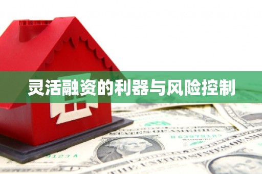 望城灵活融资的利器与风险控制