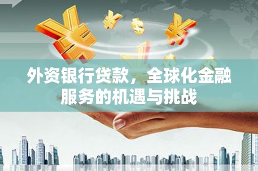 望城外资银行贷款，全球化金融服务的机遇与挑战