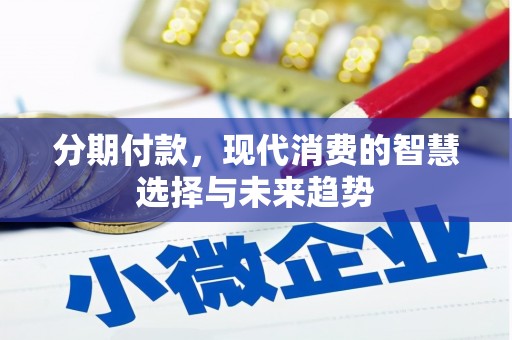 望城分期付款，现代消费的智慧选择与未来趋势