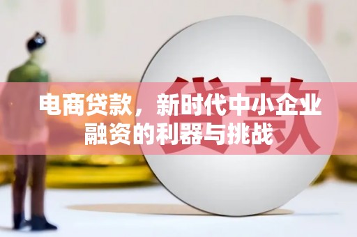 望城电商贷款，新时代中小企业融资的利器与挑战