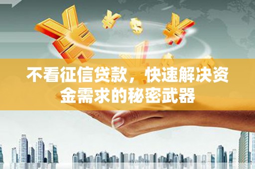 望城不看征信贷款，快速解决资金需求的秘密武器