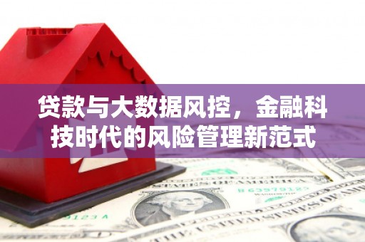 望城贷款与大数据风控，金融科技时代的风险管理新范式