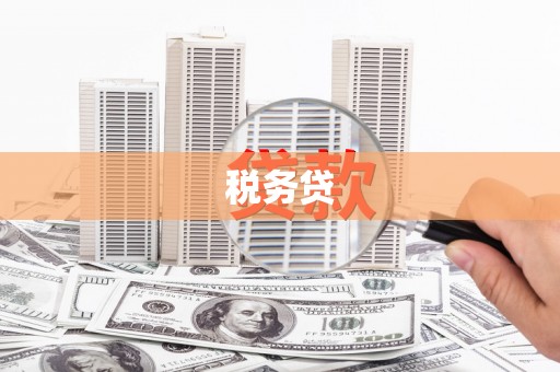 望城税务贷