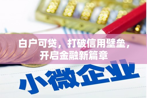 望城白户可贷，打破信用壁垒，开启金融新篇章