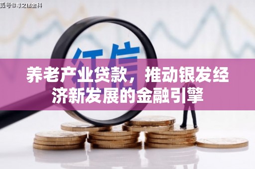望城养老产业贷款，推动银发经济新发展的金融引擎
