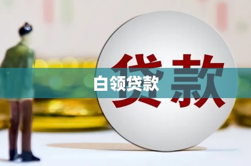 望城白领贷款